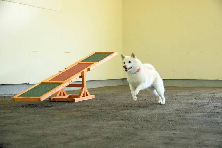 WAN SCHOOL（おおい町）